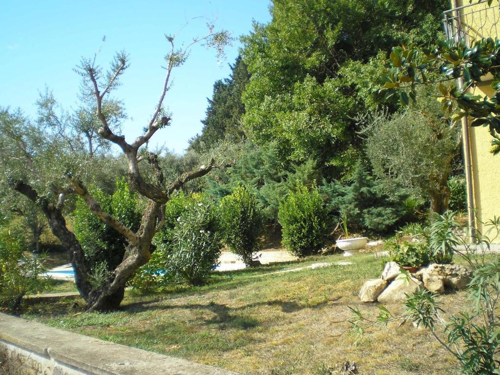 Villa Olcimia Capena Exterior foto