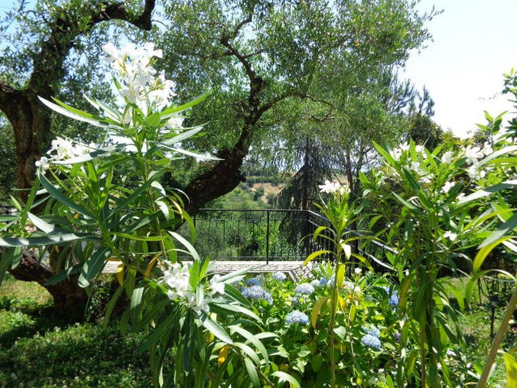Villa Olcimia Capena Zimmer foto